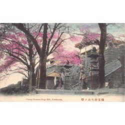 Rare collectable postcards of Japan. Vintage Postcards of Japan