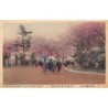 Rare collectable postcards of Japan. Vintage Postcards of Japan
