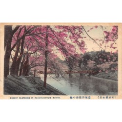 Rare collectable postcards of Japan. Vintage Postcards of Japan