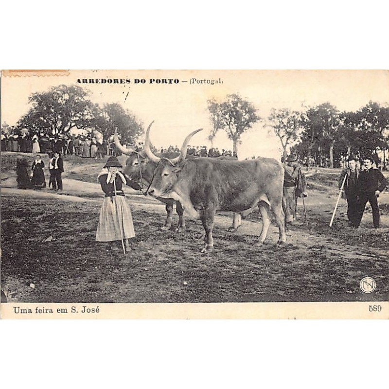 Rare collectable postcards of PORTUGAL. Vintage Postcards of PORTUGAL