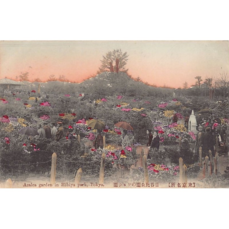 Rare collectable postcards of Japan. Vintage Postcards of Japan