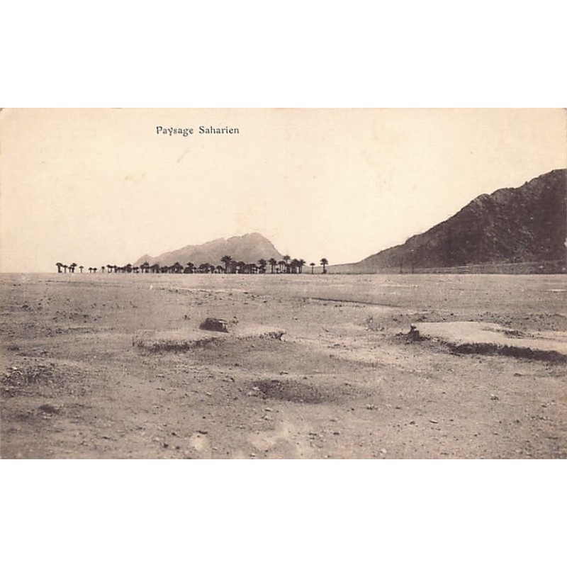 Rare collectable postcards of Algeria. Vintage Postcards of Algeria