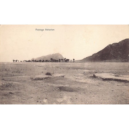 Rare collectable postcards of Algeria. Vintage Postcards of Algeria