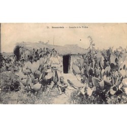 Rare collectable postcards of Algeria. Vintage Postcards of Algeria