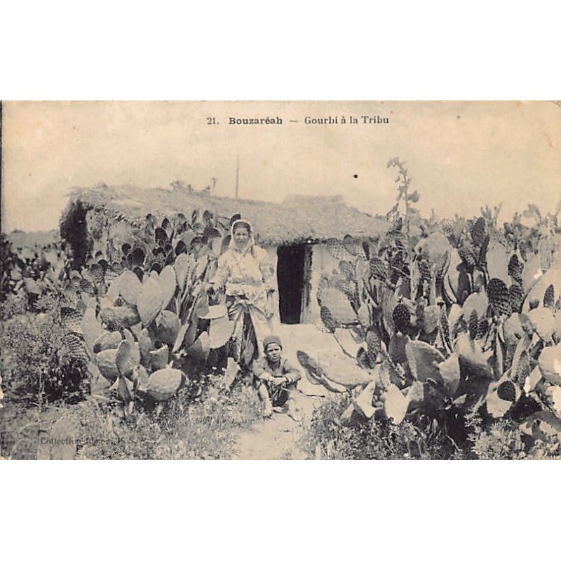 Rare collectable postcards of Algeria. Vintage Postcards of Algeria