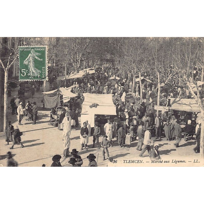 Rare collectable postcards of Algeria. Vintage Postcards of Algeria