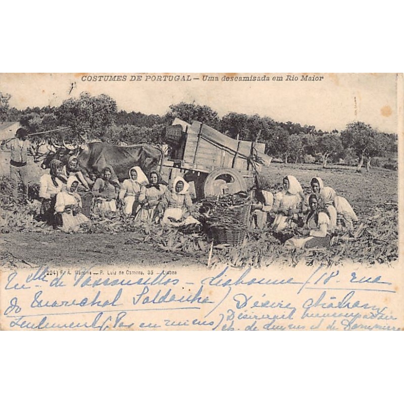 Rare collectable postcards of PORTUGAL. Vintage Postcards of PORTUGAL
