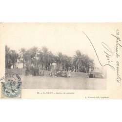 Rare collectable postcards of Algeria. Vintage Postcards of Algeria
