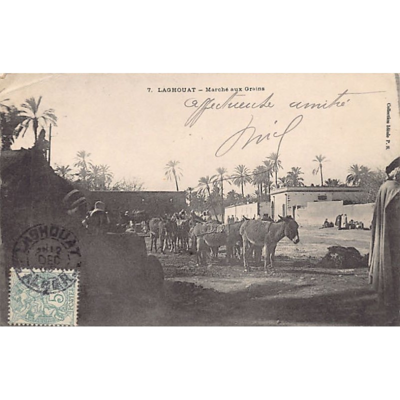 Rare collectable postcards of Algeria. Vintage Postcards of Algeria