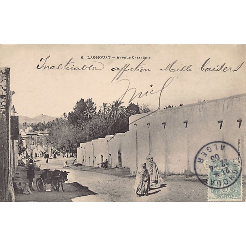 Rare collectable postcards of Algeria. Vintage Postcards of Algeria