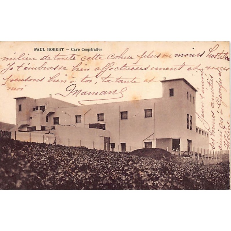 Rare collectable postcards of Algeria. Vintage Postcards of Algeria