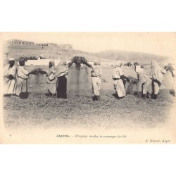 Rare collectable postcards of Algeria. Vintage Postcards of Algeria