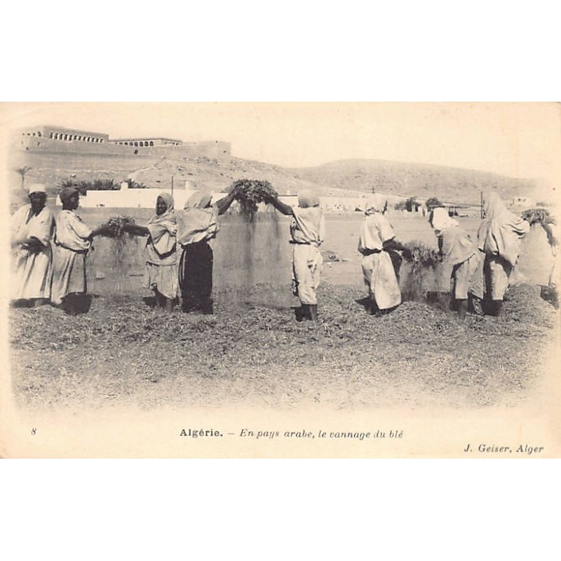 Rare collectable postcards of Algeria. Vintage Postcards of Algeria