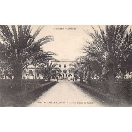 Rare collectable postcards of Algeria. Vintage Postcards of Algeria