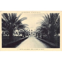 Rare collectable postcards of Algeria. Vintage Postcards of Algeria