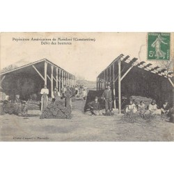 Rare collectable postcards of Algeria. Vintage Postcards of Algeria