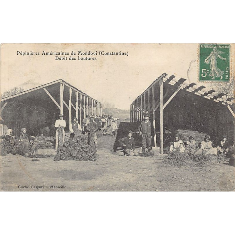 Rare collectable postcards of Algeria. Vintage Postcards of Algeria