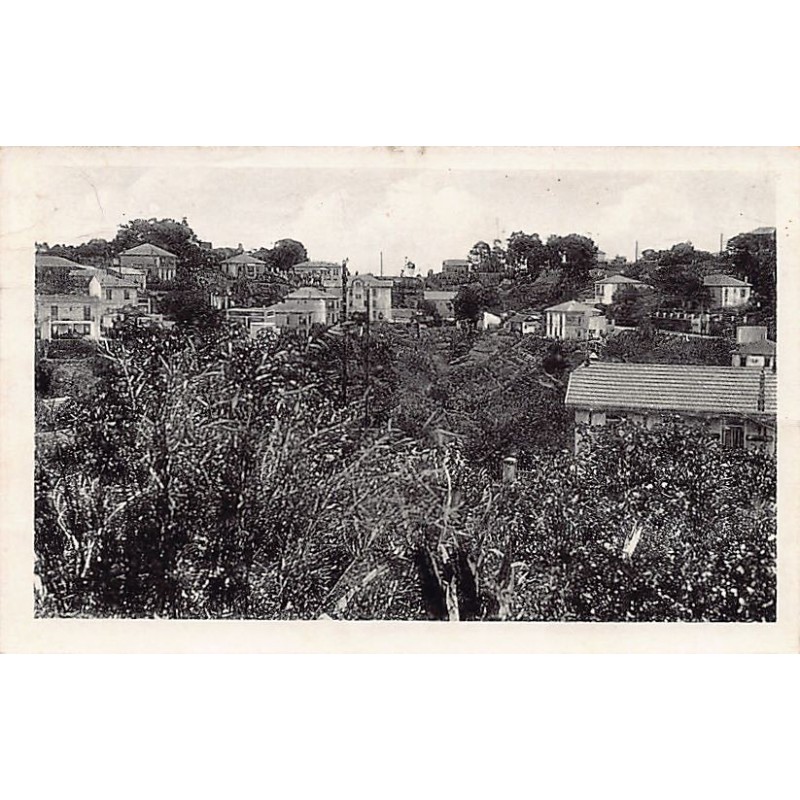 Rare collectable postcards of Algeria. Vintage Postcards of Algeria