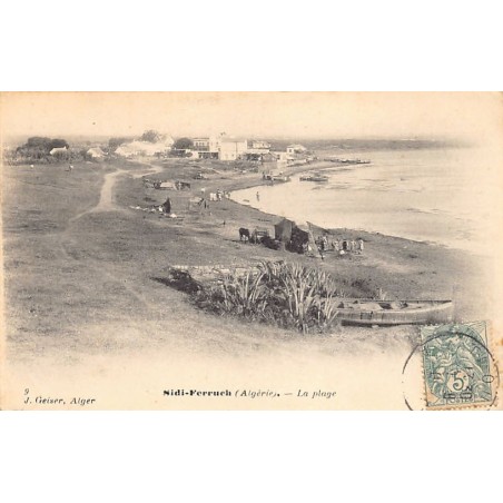 Rare collectable postcards of Algeria. Vintage Postcards of Algeria