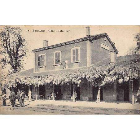 Rare collectable postcards of Algeria. Vintage Postcards of Algeria