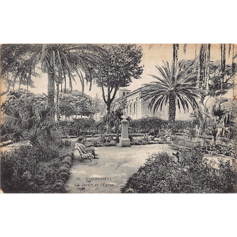 Rare collectable postcards of Algeria. Vintage Postcards of Algeria