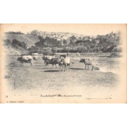 Rare collectable postcards of Algeria. Vintage Postcards of Algeria