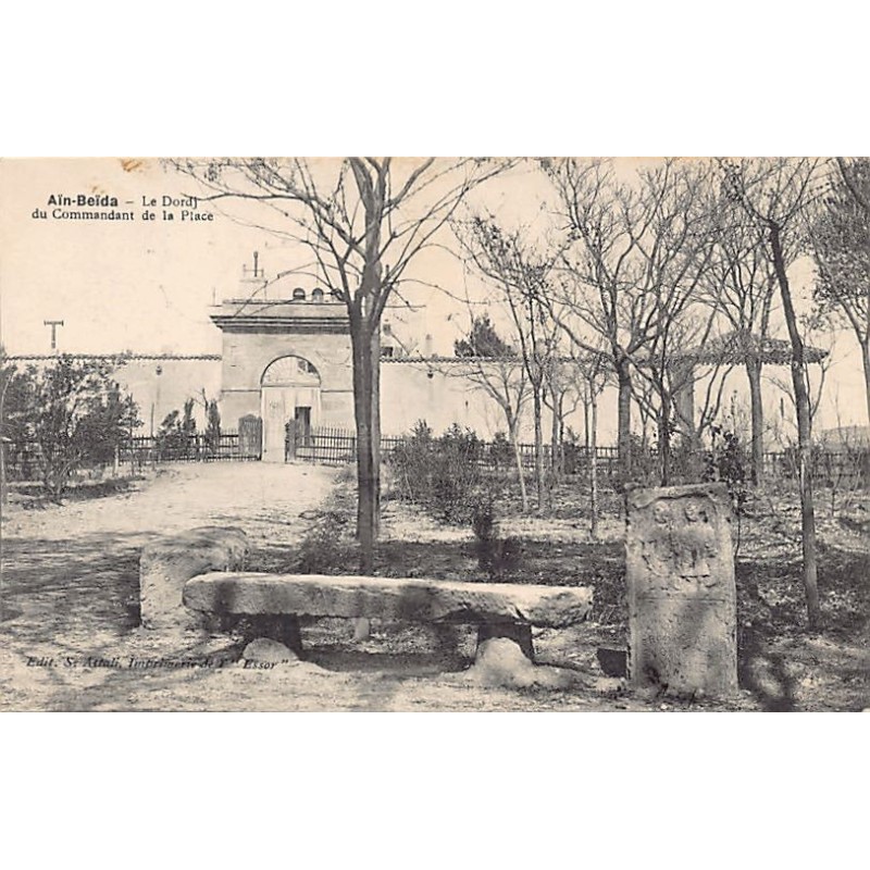 Rare collectable postcards of Algeria. Vintage Postcards of Algeria