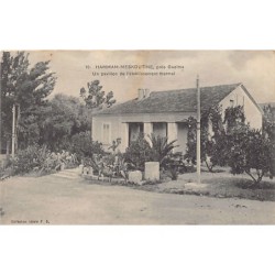 Rare collectable postcards of Algeria. Vintage Postcards of Algeria