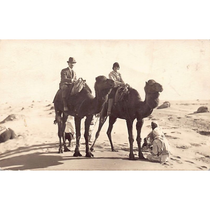 Rare collectable postcards of Algeria. Vintage Postcards of Algeria