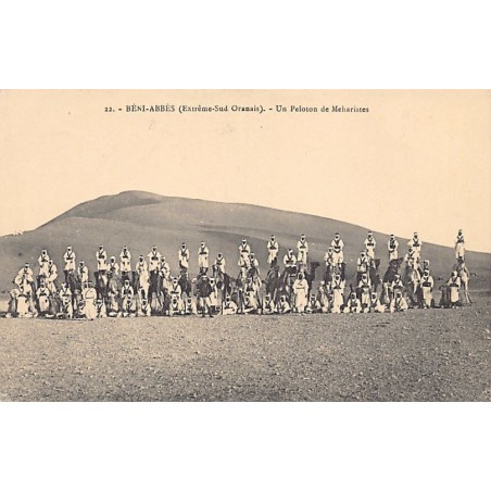 Rare collectable postcards of Algeria. Vintage Postcards of Algeria