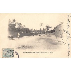 Rare collectable postcards of Algeria. Vintage Postcards of Algeria