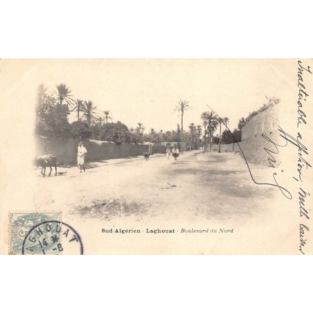 Rare collectable postcards of Algeria. Vintage Postcards of Algeria