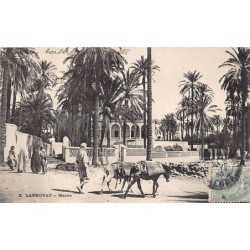 Rare collectable postcards of Algeria. Vintage Postcards of Algeria