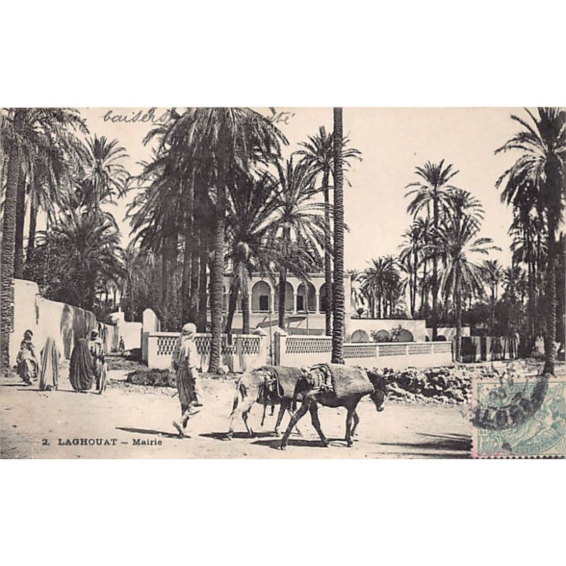 Rare collectable postcards of Algeria. Vintage Postcards of Algeria
