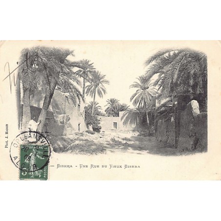 Rare collectable postcards of Algeria. Vintage Postcards of Algeria