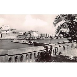 Rare collectable postcards of Algeria. Vintage Postcards of Algeria