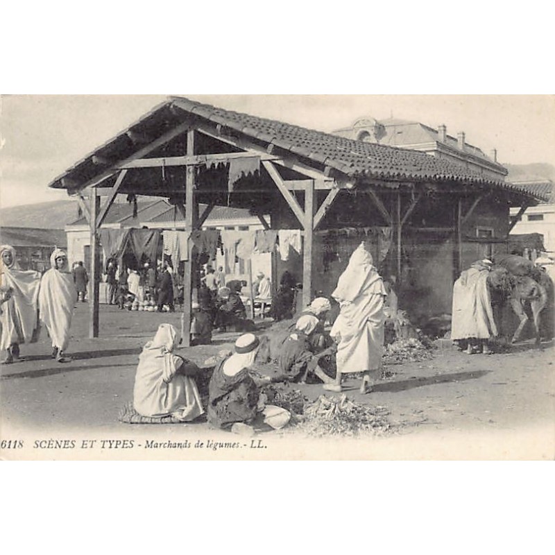 Rare collectable postcards of Algeria. Vintage Postcards of Algeria