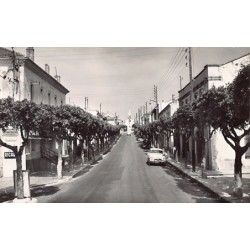 Rare collectable postcards of Algeria. Vintage Postcards of Algeria