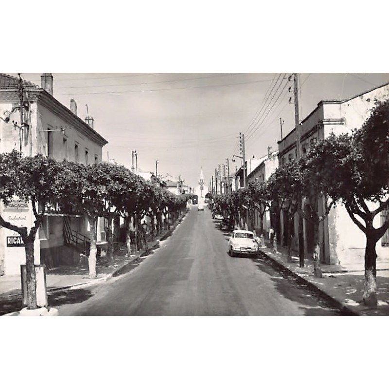 Rare collectable postcards of Algeria. Vintage Postcards of Algeria