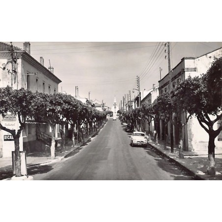 Rare collectable postcards of Algeria. Vintage Postcards of Algeria