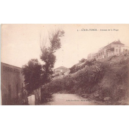 Rare collectable postcards of Algeria. Vintage Postcards of Algeria