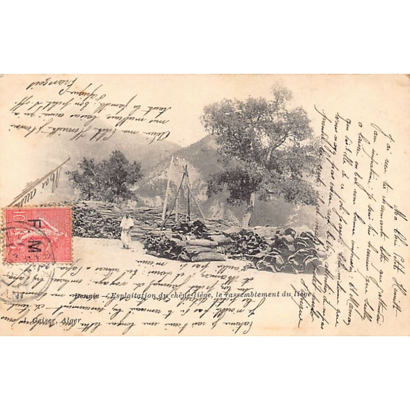 Rare collectable postcards of Algeria. Vintage Postcards of Algeria