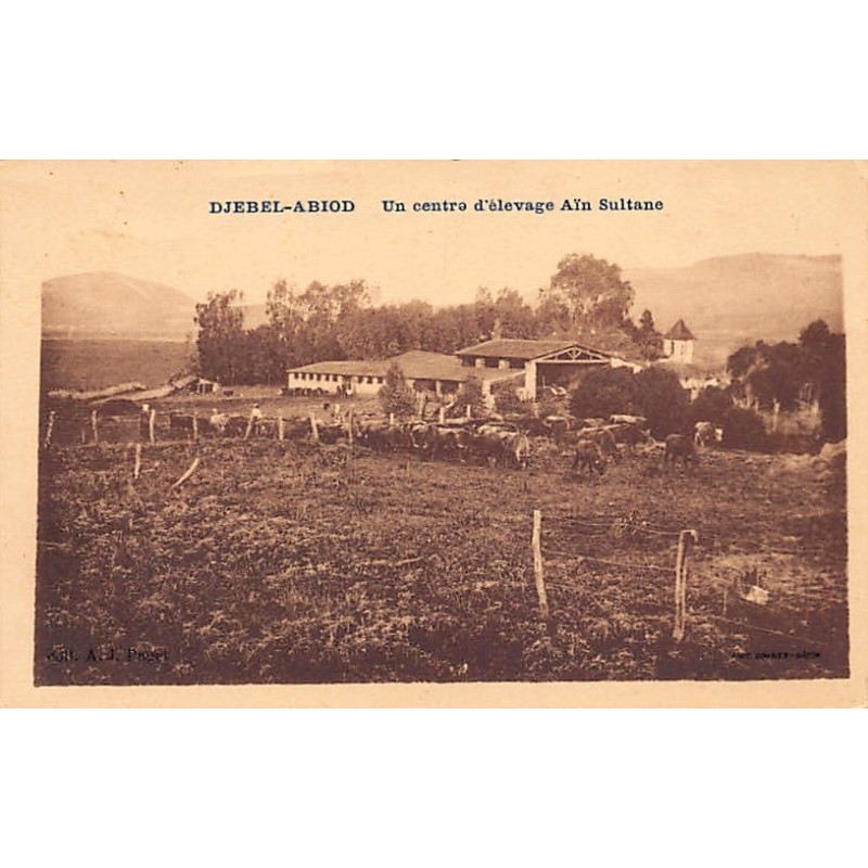 Rare collectable postcards of Tunisia. Vintage Postcards of Tunisia