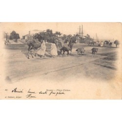 Rare collectable postcards of Tunisia. Vintage Postcards of Tunisia