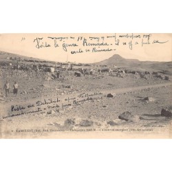 Rare collectable postcards of Tunisia. Vintage Postcards of Tunisia