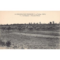 Rare collectable postcards of Tunisia. Vintage Postcards of Tunisia