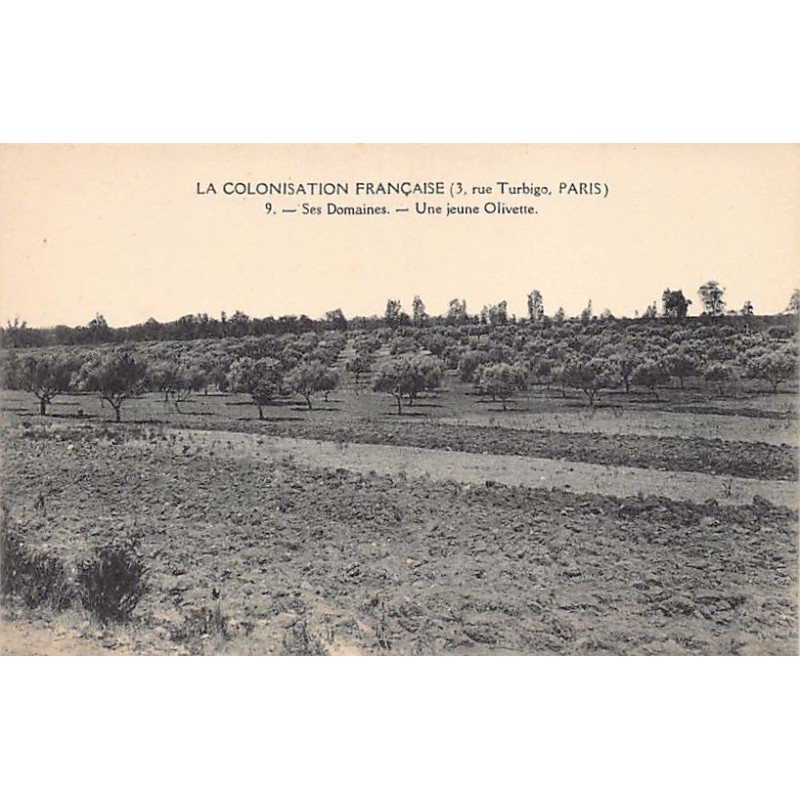 Rare collectable postcards of Tunisia. Vintage Postcards of Tunisia