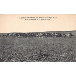 Rare collectable postcards of Tunisia. Vintage Postcards of Tunisia