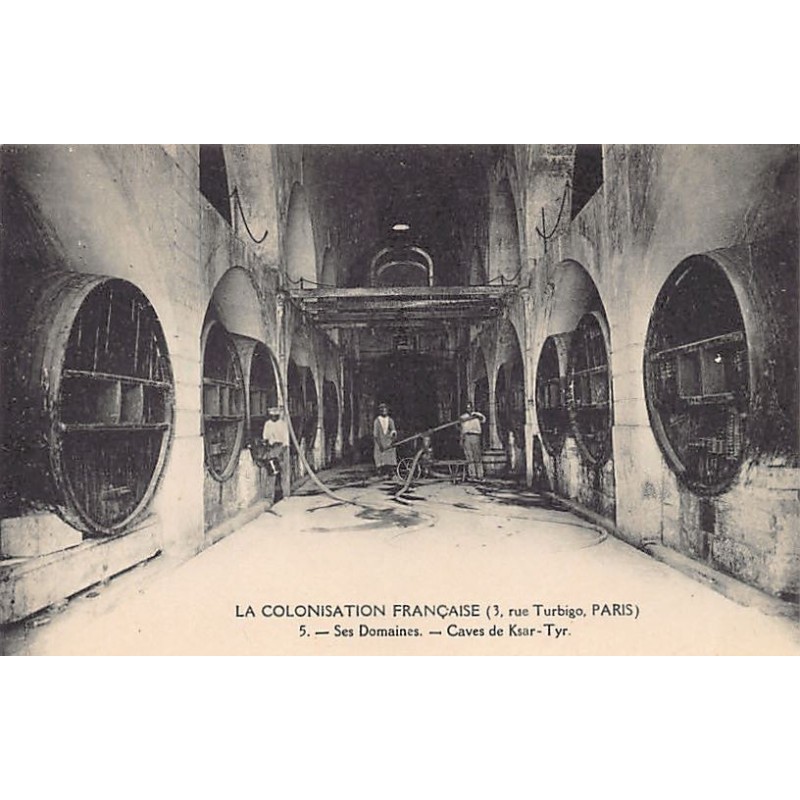 Rare collectable postcards of Tunisia. Vintage Postcards of Tunisia