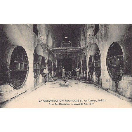 Rare collectable postcards of Tunisia. Vintage Postcards of Tunisia